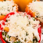 Stuffed Bell Peppers 3