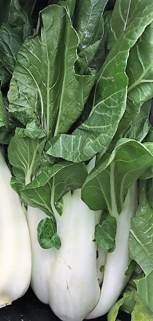 Bok Choy