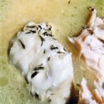 Pulled Chicken in the pot